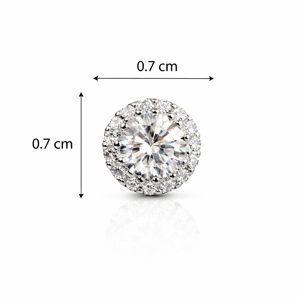 Classic Halo Sparkle Silver Stud Earrings
